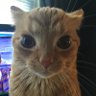 fortnitepoop profil fotoğrafı