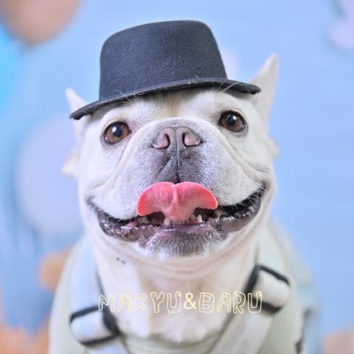makyu_c5's profile picture