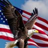 America First 🇺🇸 Josh profil fotoğrafı
