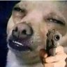 Jdiggity7's profile picture