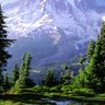 Фото профиля Lori Stricklin