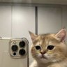 naaa¡ 的头像