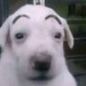 NoviaRobot 的头像