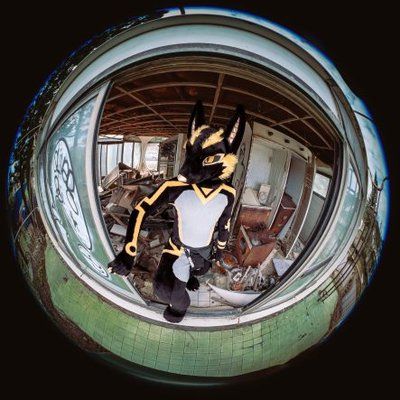 AnubisFurdance's profile picture