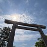 Фото профиля おひさまめぐり