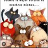 con gatos 的头像