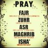 Chaudhary arfa Abadan's profile picture