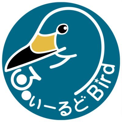 ふぃーるどbird's profile picture