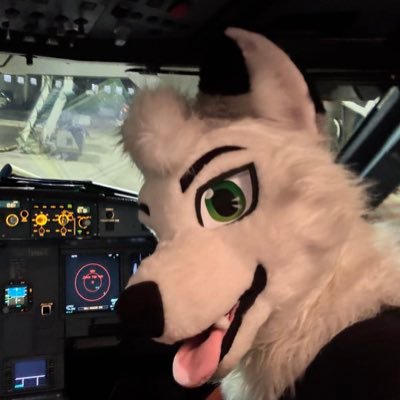 Voltingg's profile picture