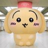 Фото профиля クエちゃん