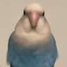 Yousef z's profile picture