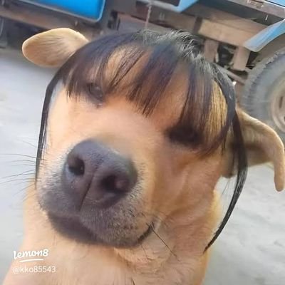 foryou1154's profile picture