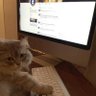 XDFP0WS profil fotoğrafı