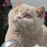 JipenJanneke profil fotoğrafı
