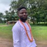 Efe Ophori's profile picture
