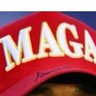 Smart Dan's profile picture
