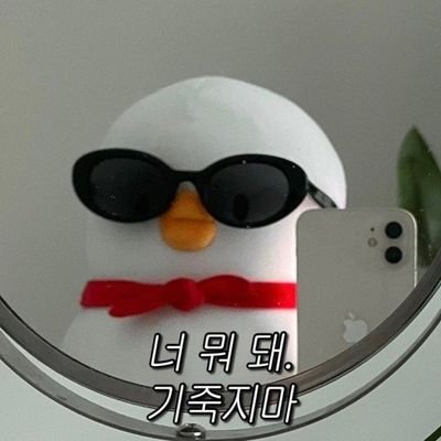 독계's profile picture