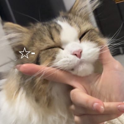 め's profile picture