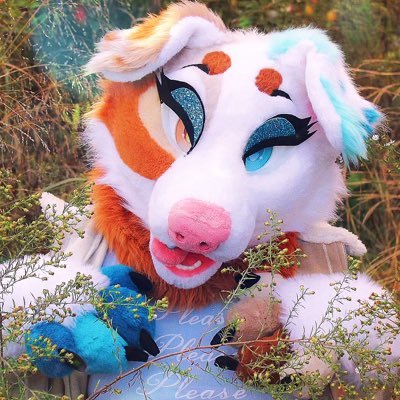 Juniper 🎏🩵's profile picture
