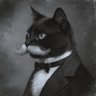 Profilbild von Mustache cat
