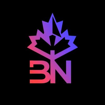 BlockchaiNorth's profile picture