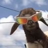 gatado075's profile picture
