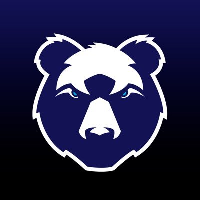 Bristol Bears 🐻's profile picture