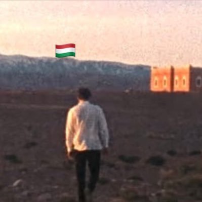 TheHungarianLad 🇭🇺🇲🇦🇹🇷🇧🇦🇨🇮🇸🇪🇭🇷🇨🇩's profile picture