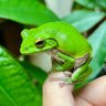 Profilbild von 裏🐸