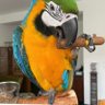 Mohamad N profil fotoğrafı