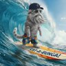 Фото профиля senyor surfer
