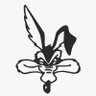 Delos ACME's profile picture