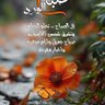 علي باب الله profil fotoğrafı