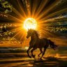 الواثق بالله's profile picture