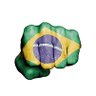 Фото профиля D.P.L. BRASIL