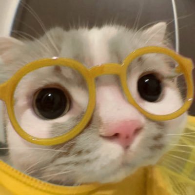 dr. namaco moon 🌖's profile picture