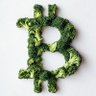 Фото профиля Bitcoin Broccoli 🥦
