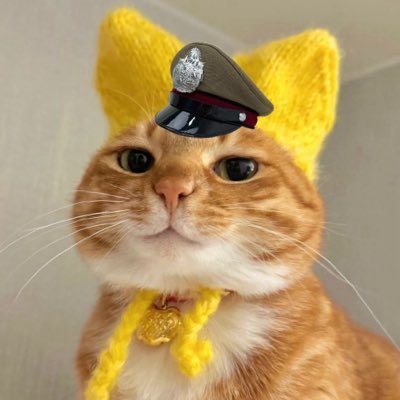 𝐏𝐨𝐥⋆แฟรี่ไม่มีผงพิกซี่ 𐙚 ༘̊⋆✿'s profile picture