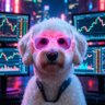 Watson2314 的头像
