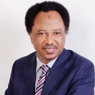 ShehuSani's profile picture