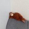 Profilbild von axelmovfe