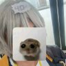 Rakuun-Kun🦝's profile picture