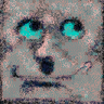 Elation's profile picture