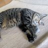 Фото профиля 山ちゃん