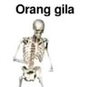 Nyrns ็ๅคดๅ