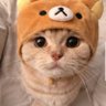 Котик Обормотик profil fotoğrafı