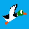 XMRDuckets's profile picture