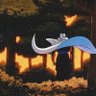 Фото профиля Fins