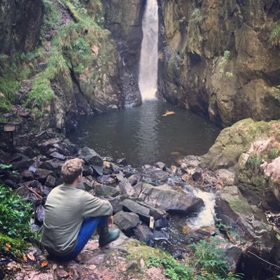 Meh's profile picture