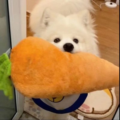 cccatnip__'s profile picture